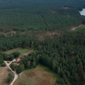 warsztaty rzeźbienia w drewnie