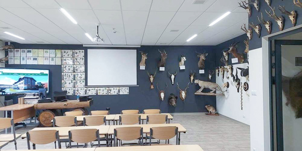 sala dydaktyczna - Drzewna w Garbatce