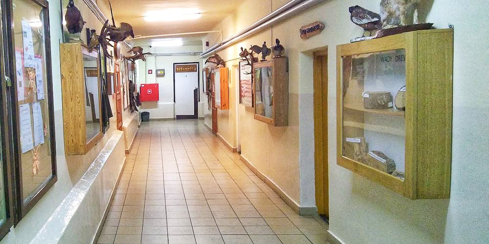 Stara siedziba drzewnej w Garbatce